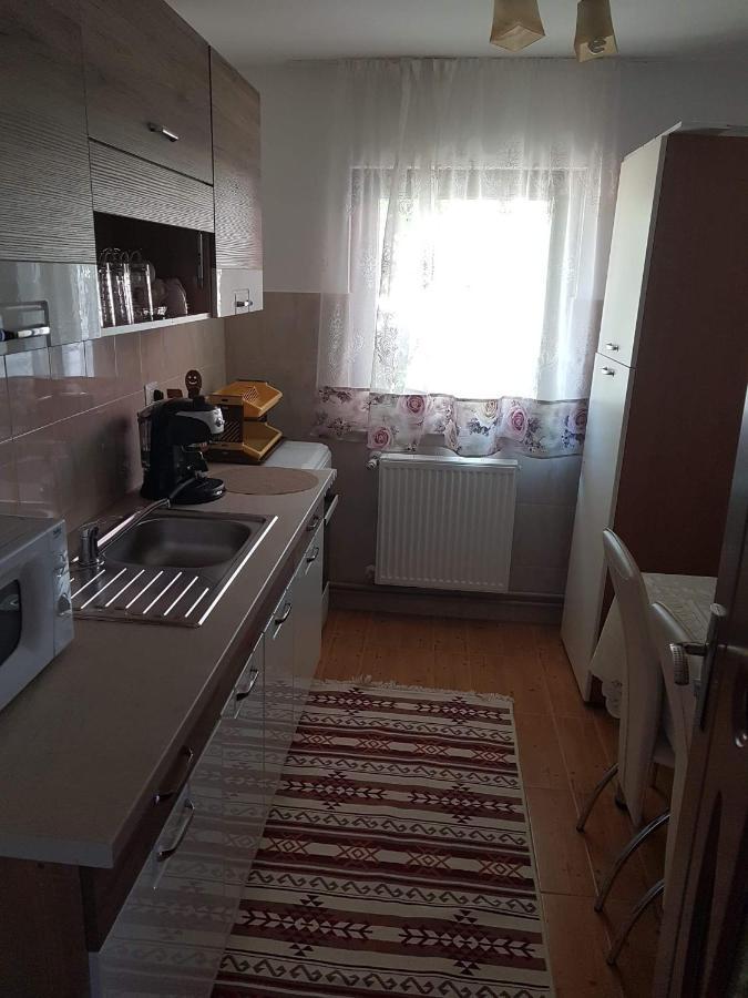 Casa Alma Hotel Borşa Buitenkant foto