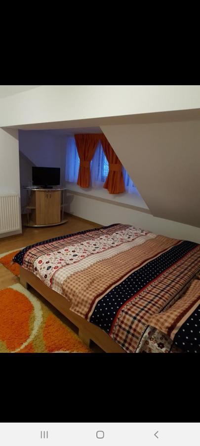 Casa Alma Hotel Borşa Buitenkant foto