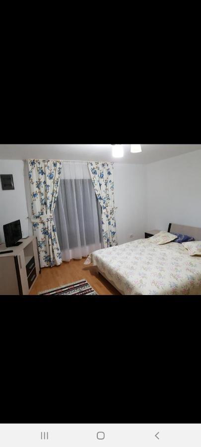 Casa Alma Hotel Borşa Buitenkant foto