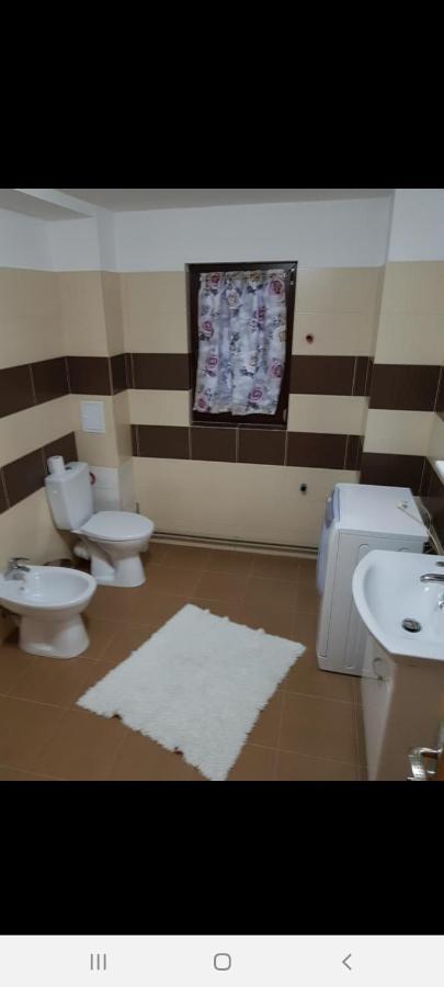 Casa Alma Hotel Borşa Buitenkant foto
