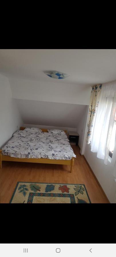 Casa Alma Hotel Borşa Buitenkant foto