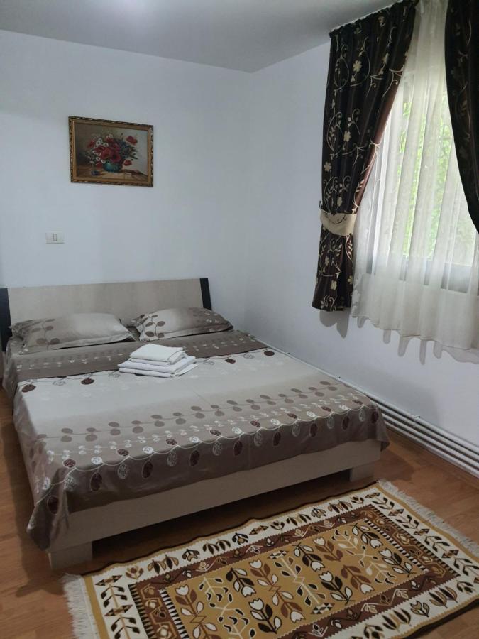 Casa Alma Hotel Borşa Buitenkant foto