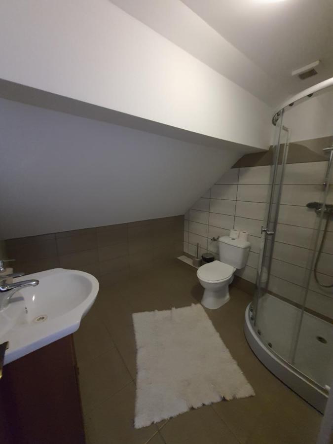 Casa Alma Hotel Borşa Buitenkant foto
