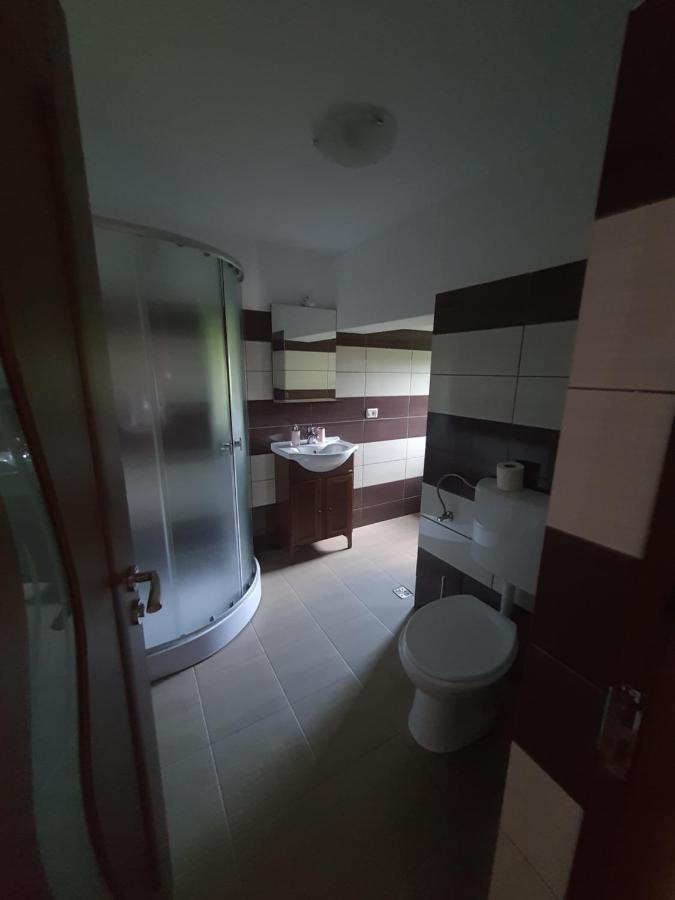 Casa Alma Hotel Borşa Buitenkant foto