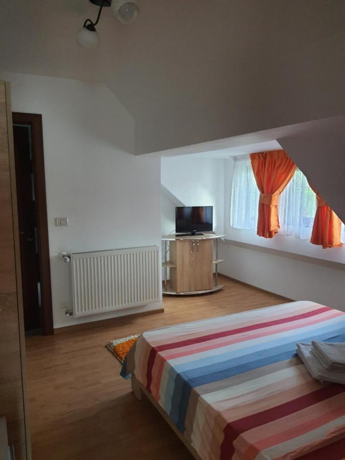 Casa Alma Hotel Borşa Buitenkant foto